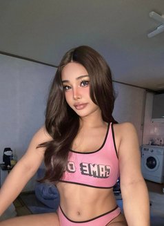 Young_treechada7 inches🇹🇭 - Transsexual escort in Osaka Photo 7 of 12