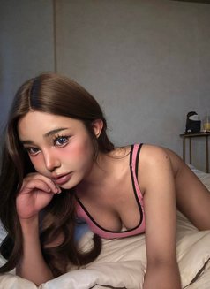 Young_treechada7 inches🇹🇭 - Transsexual escort in Osaka Photo 9 of 12