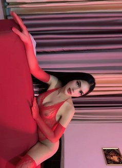 Young Ts Carmella - Transsexual escort in Abu Dhabi Photo 5 of 17