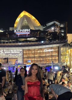 Young Ts Chloe - Transsexual escort in Phuket Photo 1 of 10