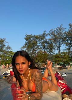 Young Ts Chloe - Transsexual escort in Phuket Photo 15 of 20