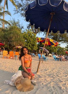 Young Ts Chloe - Transsexual escort in Phuket Photo 19 of 20