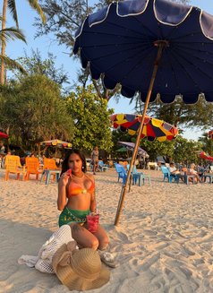 Young Ts Chloe - Transsexual escort in Phuket Photo 20 of 20