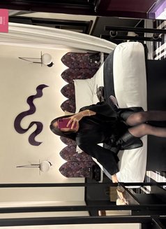 YOUNG TS - Acompañantes transexual in Singapore Photo 14 of 16