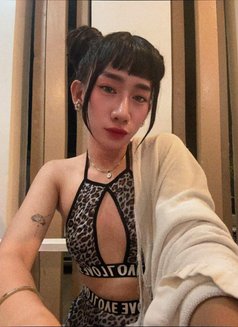 Young Ts Kendoll - Acompañantes transexual in Manila Photo 1 of 4