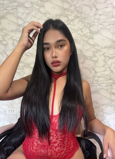 YoungBigOne Isa is back, [meet/cumshow] - Acompañantes transexual in Manila Photo 30 of 30