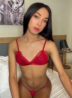Youngest Fantasy in Town - Transsexual escort in Cebu City Photo 22 of 28