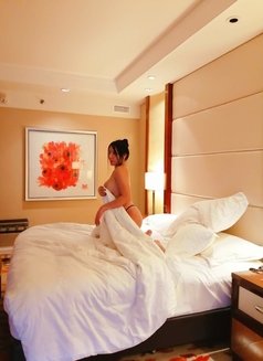 Youngest Fantasy in town is Back ! - Transsexual escort in Makati City Photo 13 of 18