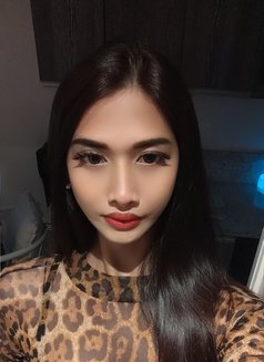 Youngest Shemale Maricar - Acompañantes transexual in Manila Photo 1 of 11