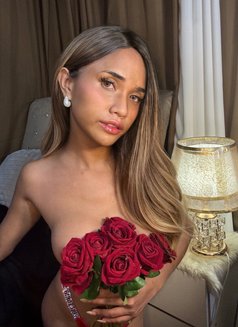 YoungSmallTs - Transsexual escort in Manila Photo 10 of 13