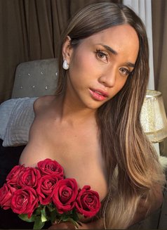 YoungSmallTs - Transsexual escort in Manila Photo 11 of 13