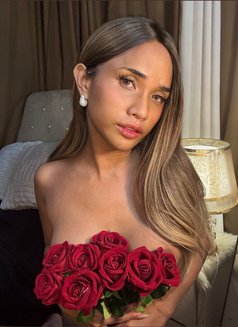 YoungSmallTs - Transsexual escort in Manila Photo 12 of 13