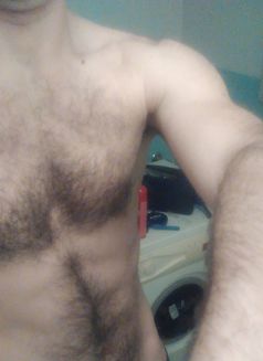 Youngstud Zg - Male escort in Zagreb Photo 1 of 1