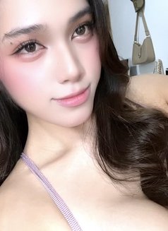 Kassidy is here let's have fun!(Camshow) - Acompañantes transexual in Manila Photo 8 of 10