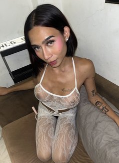 Your baby big dixyy - Transsexual escort in Makati City Photo 5 of 6