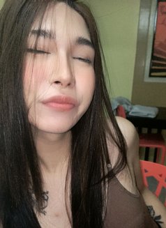 YOUR BABY LADYBOY (CAMSHOW/MEET) - Transsexual escort in Manila Photo 7 of 7