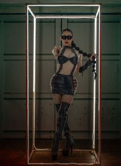 Your Cum feeder - Transsexual dominatrix in Abu Dhabi Photo 17 of 17