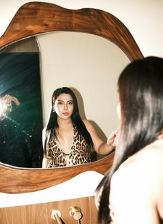 Your Curvy Feminine Babe - Transsexual escort in Kuala Lumpur Photo 13 of 14