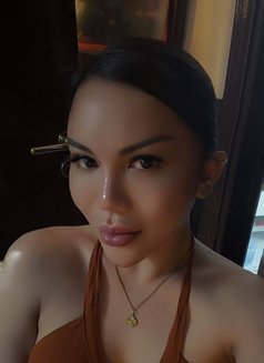 Your Delicious Dessert - Transsexual escort in Abu Dhabi Photo 15 of 15