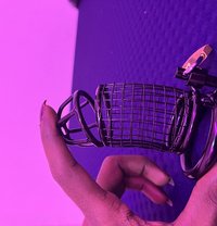 Your dominatrix mistress - Acompañantes transexual in Bangalore