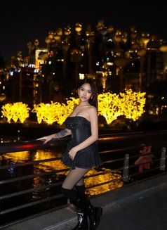 Your Dream Girl Is Arrived - escort in Hong Kong Photo 16 of 16