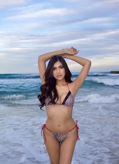 Your Dream Girl Sophia - escort in Sydney Photo 12 of 15