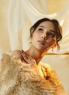 Your dream girl Steph (limited days) - escort in Taichung Photo 26 of 27