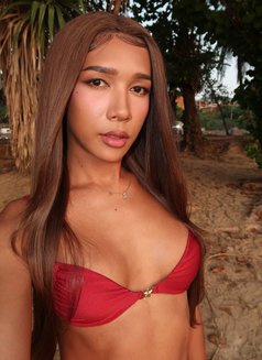 Your dream island girl - Transsexual escort in Phuket Photo 26 of 29