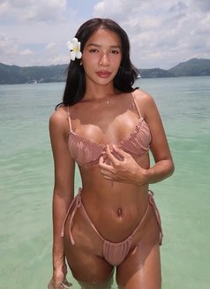 Your dream island girl - Acompañantes transexual in Dubai Photo 3 of 29