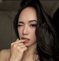 Your Dreamiest TransDoll - Transsexual escort in Angeles City