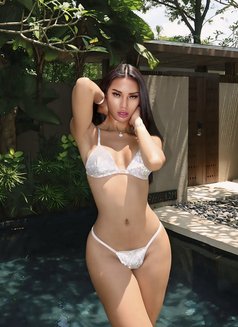 🫦 YOUR EXCLUCIVE SUPERMODEL - Transsexual escort in Bali Photo 1 of 23
