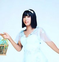 Your favorite is back for few days - Transsexual escort in New Delhi