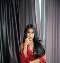 Seductive Danica Porn Star Experience - escort in Kuala Lumpur Photo 9 of 30