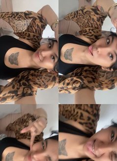 Your Favorite Ladyboy Is Back! - Transsexual escort in Kuala Lumpur Photo 2 of 6