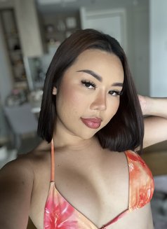 Your favorite Ts in bkk - Transsexual escort in Bangkok Photo 7 of 10