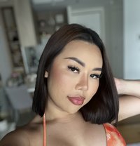 Your favorite Ts in bkk - Acompañantes transexual in Bangkok
