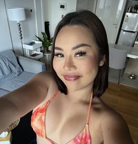 Your favorite Ts in bkk - Transsexual escort in Bangkok