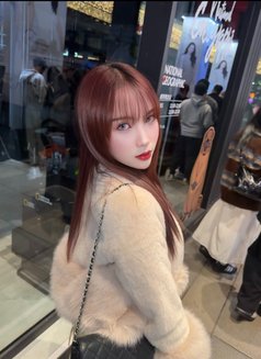 Your korean hot cute ladyboy🇰🇷 - Transsexual escort in Makati City Photo 30 of 30