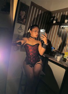 Your mistress/Dominatrix Sofie🏳️⚧️🏼 - Acompañantes transexual in Riyadh Photo 8 of 29