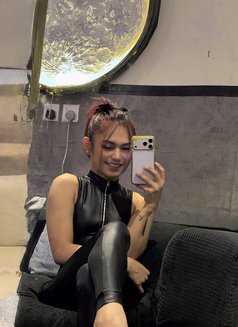 Your mistress/Dominatrix Sofie🏳️⚧️🏼 - Transsexual escort in Riyadh Photo 19 of 26