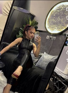 Your mistress/Dominatrix Sofie🏳️⚧️🏼 - Transsexual escort in Riyadh Photo 21 of 26