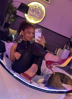 Your mistress/Dominatrix Sofie🏳️⚧️🏼 - Transsexual escort in Riyadh Photo 26 of 26