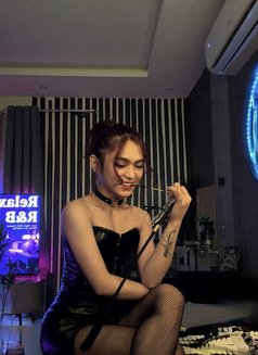 Your mistress/Dominatrix Sofie🏳️‍⚧️🏼 - Transsexual escort in Riyadh Photo 11 of 19