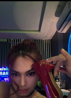 Your mistress/Dominatrix Sofie🏳️‍⚧️🏼 - Transsexual escort in Riyadh Photo 12 of 19