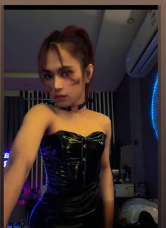 Your mistress/Dominatrix Sofie🏳️‍⚧️🏼 - Transsexual escort in Riyadh Photo 14 of 19