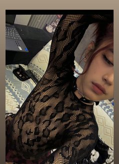 Your mistress/Dominatrix Sofie🏳️‍⚧️🏼 - Transsexual escort in Riyadh Photo 18 of 19