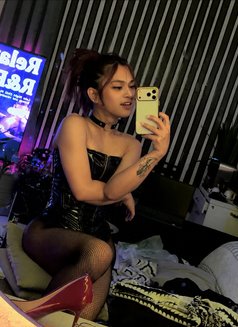 Your mistress/Dominatrix Sofie🏳️‍⚧️🏼 - Transsexual escort in Riyadh Photo 19 of 19
