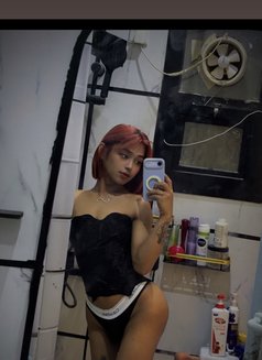 Your mistress/Dominatrix Sofie🏳️⚧️🏼 - Transsexual escort in Riyadh Photo 2 of 27