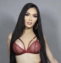 Your New Dream Ts Girl - Transsexual escort in Bangkok