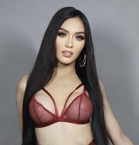 Your New Dream Ts Girl - Acompañantes transexual in Bangkok